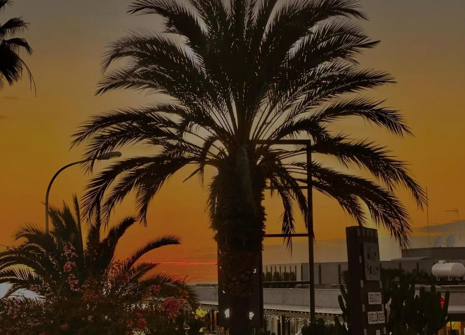 Paraisol Bmb Costa Adeje  Apartmán